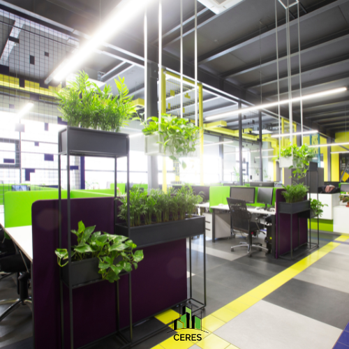 O que é biofilia e por que ela importa na arquitetura corporativa